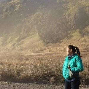 junnia pramesthia profile icon