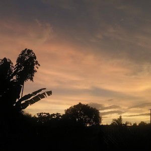 ana yulia profile icon