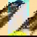 Praewwa Wa2542 profile icon