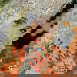 Rena Dwi Yunita profile icon