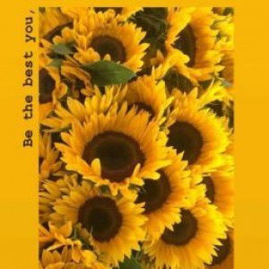 Anne Joe profile icon