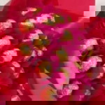 Amni Jalilah profile icon