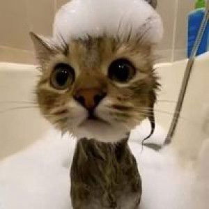 Rattanakronn ʚĭɞ profile icon