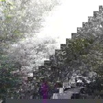 Ike Mardiana profile icon