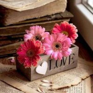 Adra Adara profile icon