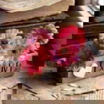 Adra Adara profile icon