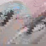 Thi Thanh profile icon