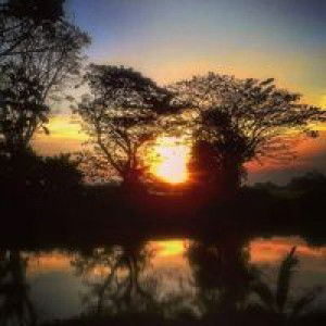 CikNl Azas profile icon