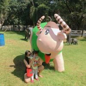 Pattarawadee Phukroghin profile icon