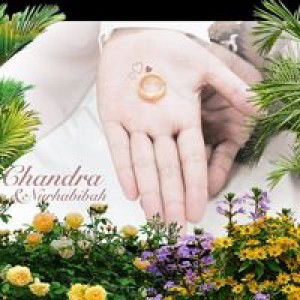 Nurhabibah profile icon