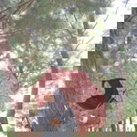 DEDE NURHANAH profile icon