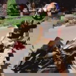 Porkaew Sirisap profile icon