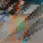 ศิรินภา ฯ. profile icon