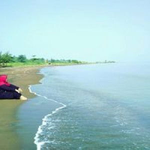 Lisanuddiyanah profile icon