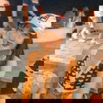 Siriwimon Tampudsa profile icon