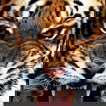 พัฒนา ยิ้มอ่อน profile icon