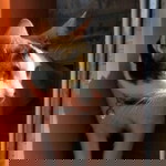 babyoil sama profile icon