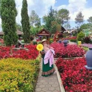 Alfira NuroelAzizah profile icon