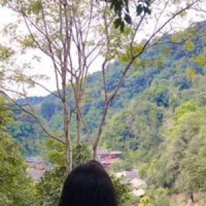 อลิชา ซุคำ profile icon