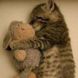 Little junior profile icon