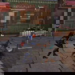 Lady Haren Real profile icon