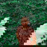 ทัตพิชา บุตรเอก profile icon