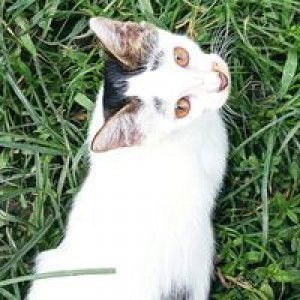 Fatima Sumagka Escot profile icon