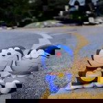 Moccona Love profile icon