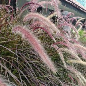 Ajengprity Gitariani profile icon