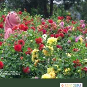 Raihana Budiman profile icon