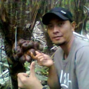 Mardiansyah profile icon