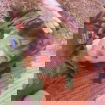 ตอนกูเฟี้ยว เจี้ยวมึงยังเท่าหนอน profile icon