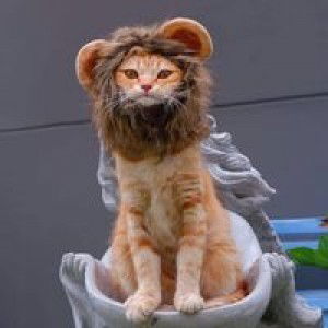 សុវណ្ណ ពិសី៚ profile icon