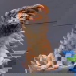 សុវណ្ណ ពិសី៚ profile icon