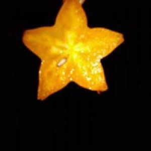 Eka Octavia Repessevche profile icon