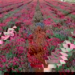 N'Nam Jureeporn profile icon