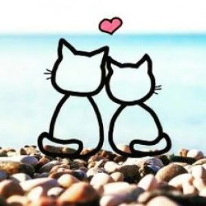 Kamila Hafizhah profile icon