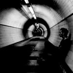 SHADI NESS profile icon