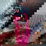 Laniena Qasih profile icon