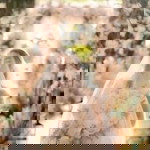 Maggie Greene profile icon