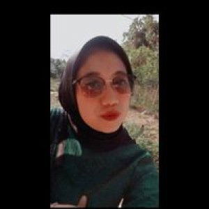 Dina Mardiana profile icon