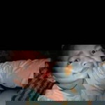 น้องไข่มุก แม่น้องมล profile icon