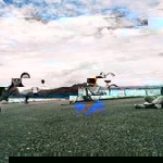 Perla Basubas-Tungpalan profile icon