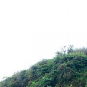 Maylisa Putri profile icon