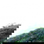 Maylisa Putri profile icon