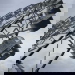 Jacqueline S. profile icon