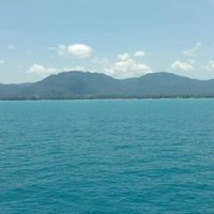 น้องอาม จอมซน profile icon