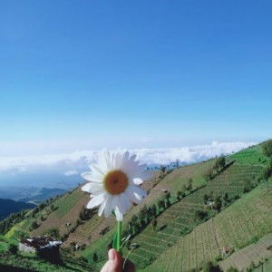 Robiatul Adawiyah profile icon