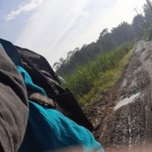 Saridewi profile icon