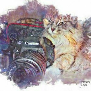 Vee Can profile icon